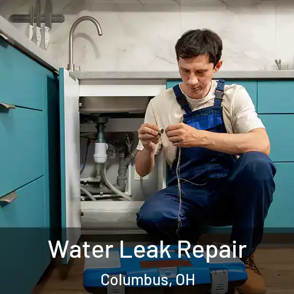  Water Leak Repair Columbus, OH